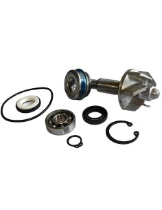 kit reparacion bomba de agua honda pantheon 37282031