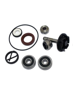kit reparacion bomba de agua piaggio beverly 250 37282032