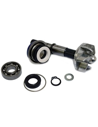 kit reparacion bomba de agua daelim s3 37282034