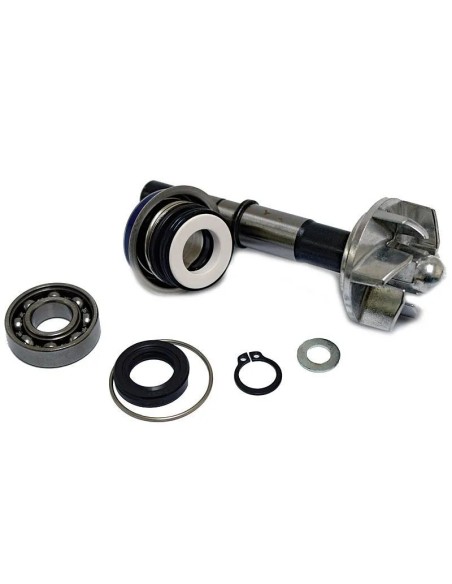 kit reparacion bomba de agua daelim s3 37282034