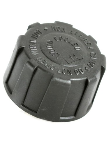 tapon radiador deposito expansion piaggio original 623673