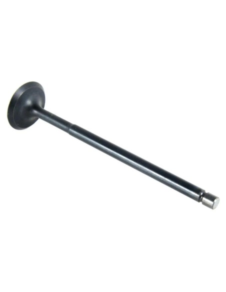 valvula de admision piaggio original 873809