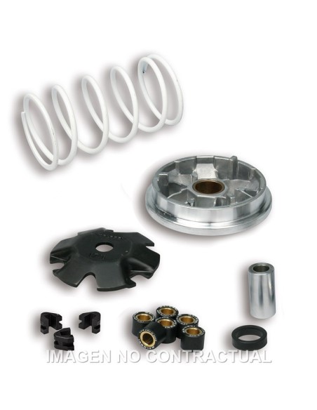 Variador Malossi Multivar Peugeot Buxy Zenith, Speedake