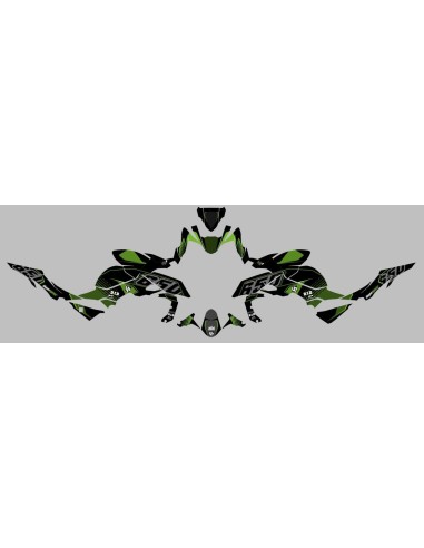 Kit Deco UP Maximize Negro-Verde Kawasaki Z650