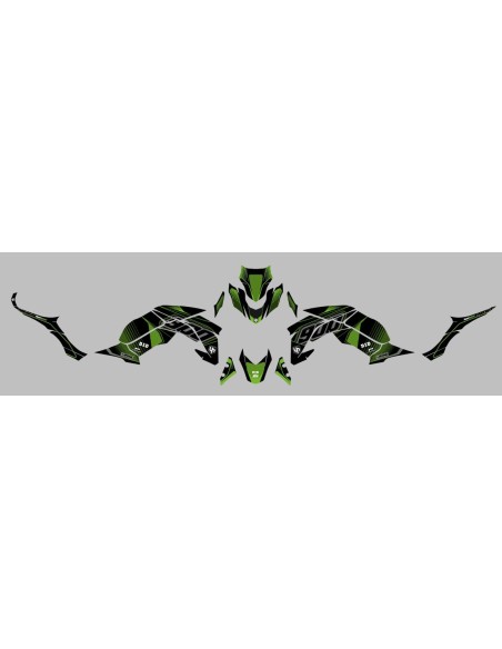 Kit Deco UP Maximize Negro-Verde Kawasaki Z900