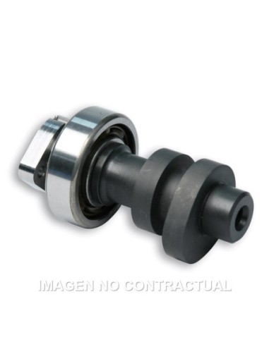 Árbol De Levas Malossi Power Cam Honda SH 300
