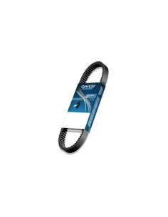 correa dayco para moto piaggio vespa fi2