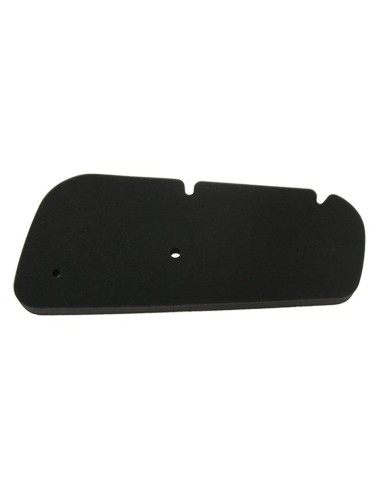 filtro aire meiwa honda pantheon 125 f264406