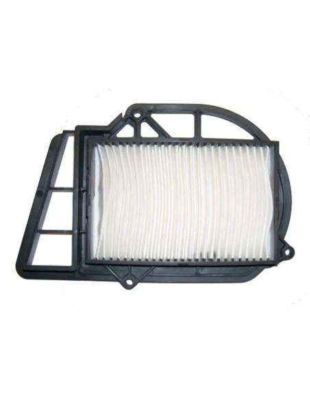 filtro aire meiwa carter italjet jupiter 250 f264498