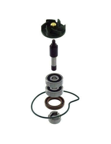 kit reparacion bomba agua piaggio beverly 300 rms100110440