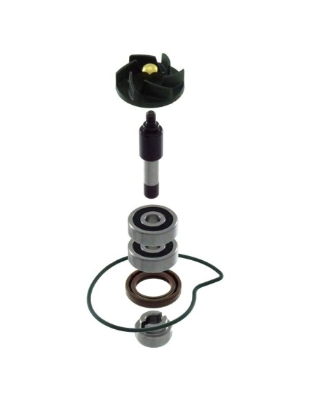 kit reparacion bomba agua piaggio beverly 300 rms100110440