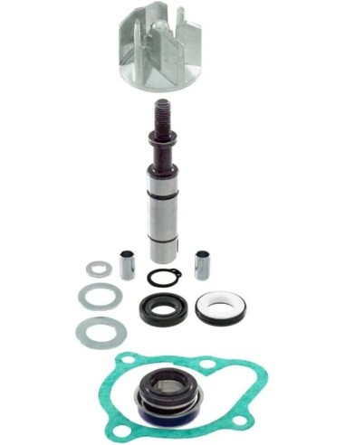 kit reparacion bomba agua kymco superdink 300 rms100110490