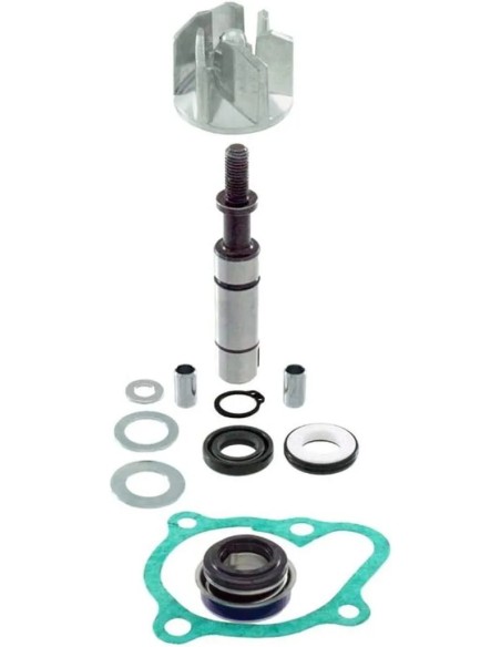 kit reparacion bomba agua kymco superdink 300 rms100110490