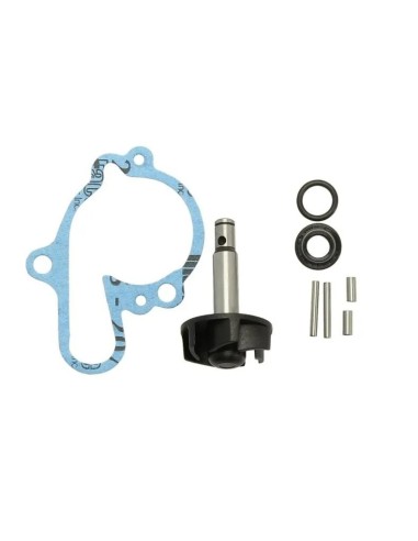 kit reparacion bomba de agua para motor minarelli am6