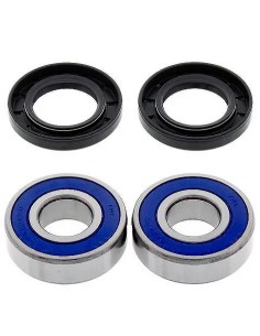 kit de rodamientos rueda all balls 25 1379