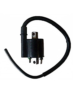 bobina 12v 3 ohm 2 fastons con cable 40 cm 04174320