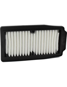filtro de aire champion para moto suzuki caf2202