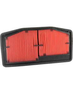 filtro de aire champion para moto triumph caf5506
