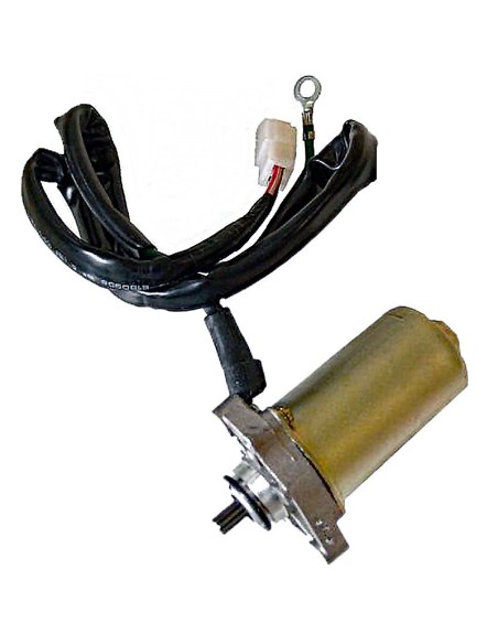 motor arranque 12v 0 25kw 10 dientes rotacion 04178185