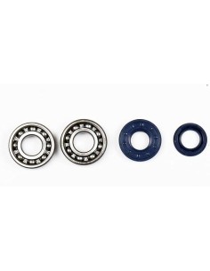 kit de reparacion de ciguenal athena p400130444005 con rodamientos y retenes skf