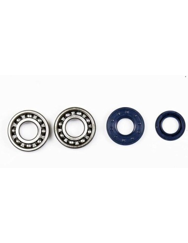 kit de reparacion de ciguenal athena p400130444005 con rodamientos y retenes skf