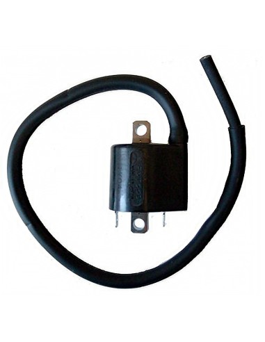 bobina mitsubishi f6t559 12v 3 6ohm 2 contactos c 04161206