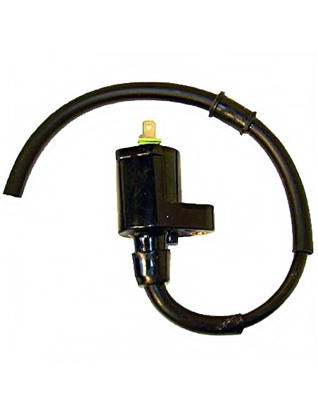 bobina 12v 0 30 ohm 2 fastons 04168191