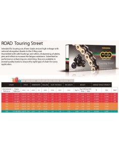 cadena regina 520 zrt touring street 135 zrt 102 pasos 2