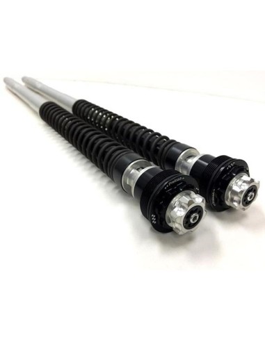 cartucho de horquilla matris f20y154k para yamaha mt 09 2021 2023 rn69 rn82 83