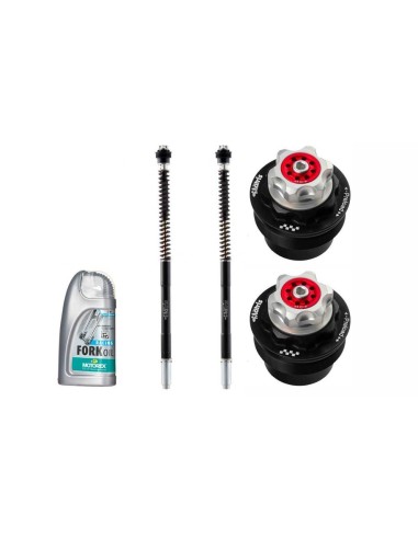 kit cartuchos horquilla matris f25b323rx f25rx para bmw f 450 gs 2026