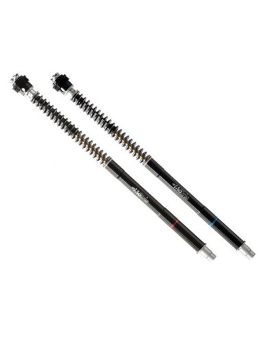 kit de horquilla matrix f25sa yamaha yzf r6 f25y110sa