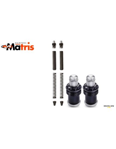 kit de horquilla matris aprilia pegaso 650 factory 06 11 fa107ke