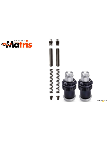 kit de horquilla matris aprilia pegaso 650 factory 06 11 fa107ke