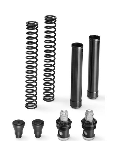 kit de horquilla matris mg audace 1400 15 20 fm115ke