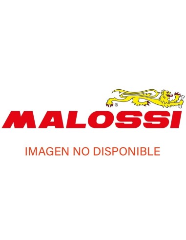 brida fijacion silencioso escape malossi trofeo 218839