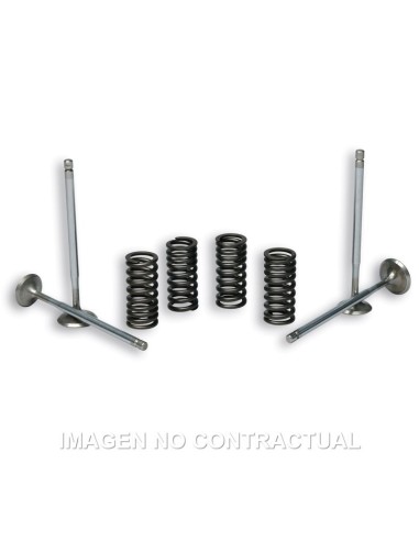 valvulas malossi c muelles motor piaggio leader 2714047