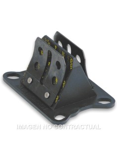 caja laminas de carbono vl6 motor am6 nsr 75 274235c