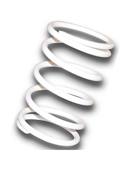 muelle de polea conducida blanco honda silver wing 2912478w0