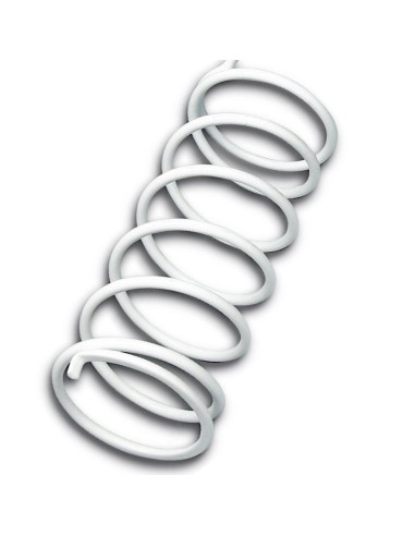 muelle polea conducida blanco suzuki burgman 125 2914203w0