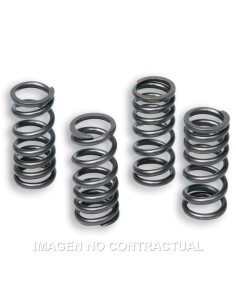 muelles malossi valvulas originales honda sh 300 2914680