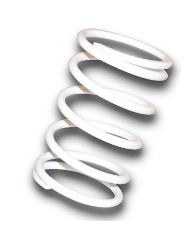 muelle polea conducida blanco kymco x citing 400 2916113w0