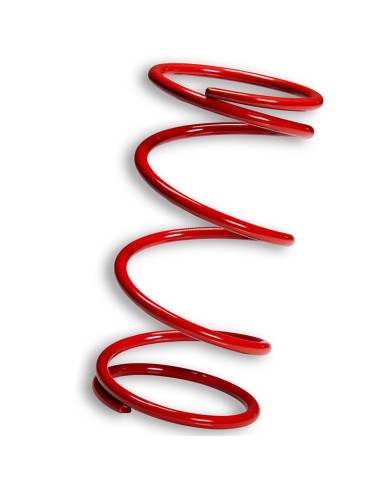 muelle polea conducida rojo honda pcx 125 2916498r0