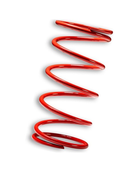 muelle polea conducida rojo piaggio 400 500 2916508r0