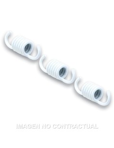 muelles embrague malossi blancos juego de 3 298740b