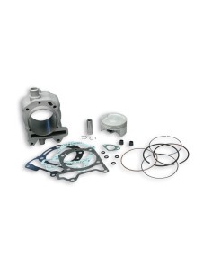 cilindro malossi aluminio aprilia sportcity 125 3113955