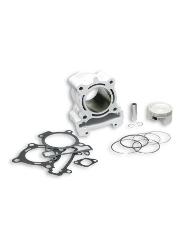 cilindro malossi aluminio rieju marathon pro 125 3114852