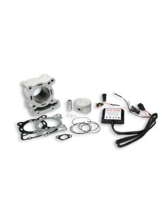 cilindro s culata malossi hi tech aprilia rs4 125 3115325