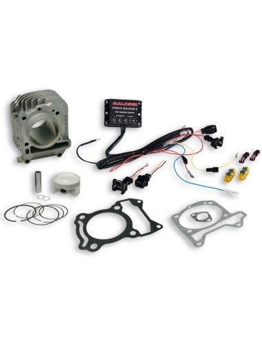 cilindro completo malossi i tech piaggio liberty i 3117439