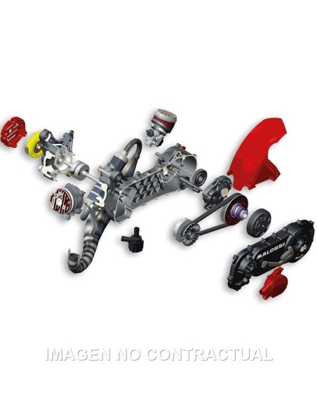 motor malossi completo c one minarelli 4917548