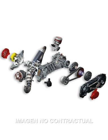 motor completo malossi rc one piaggio rueda 10 4917551